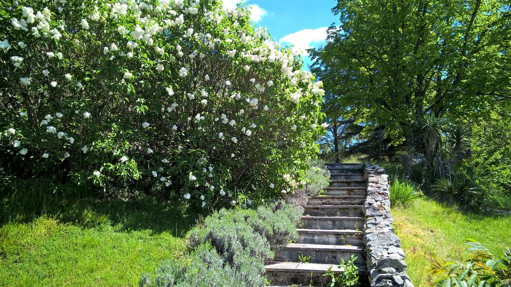 Maison Les Fraysses Bellefont-la Rauze Номер фото